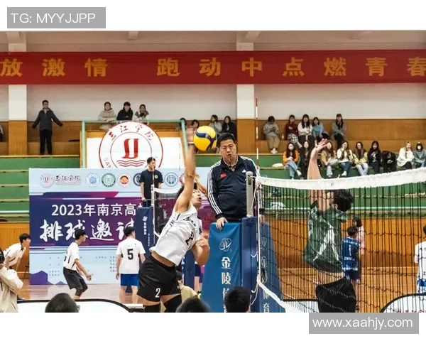 聚焦排球：南京排球队的速度话题